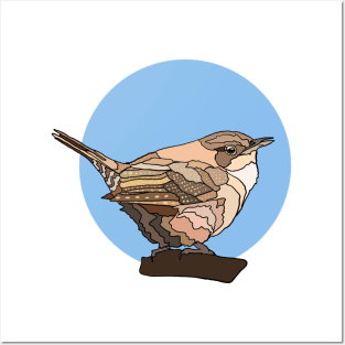 House Wren Posters and Art